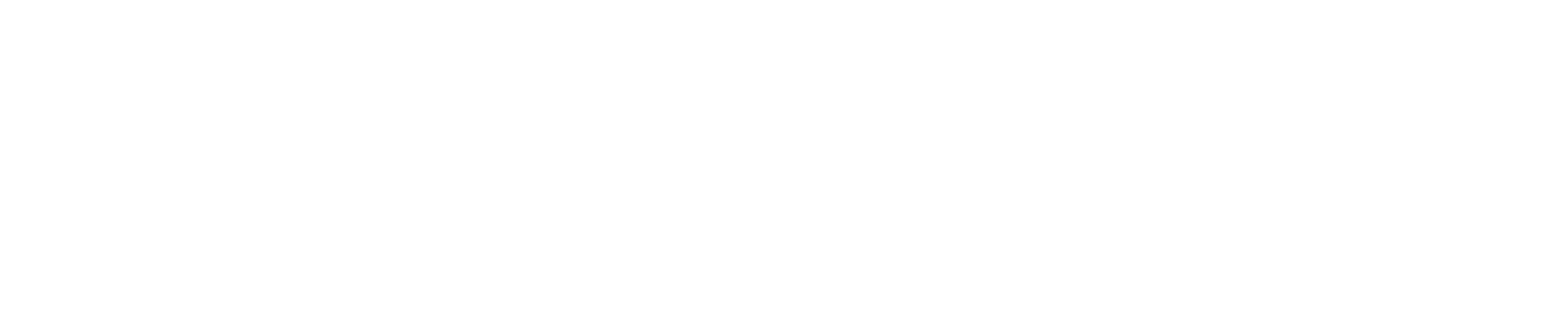 Flying Academy